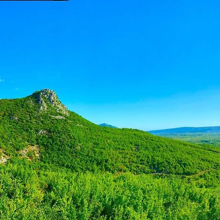 Hani I Leks Agroturizem Lezhë Buitenkant foto