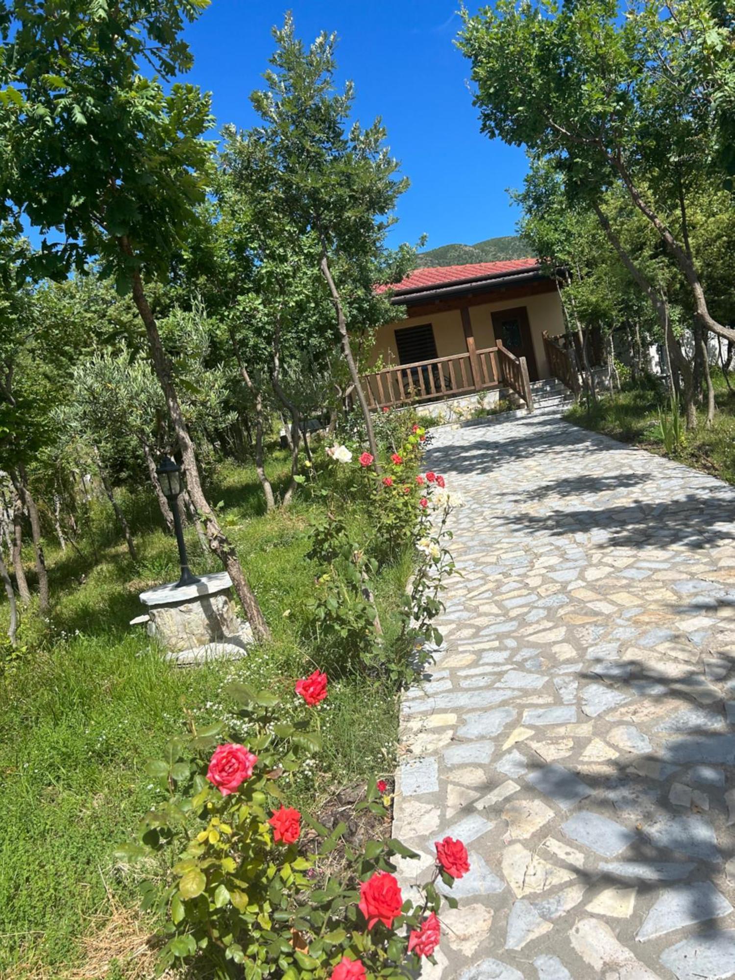 Hani I Leks Agroturizem Lezhë Buitenkant foto